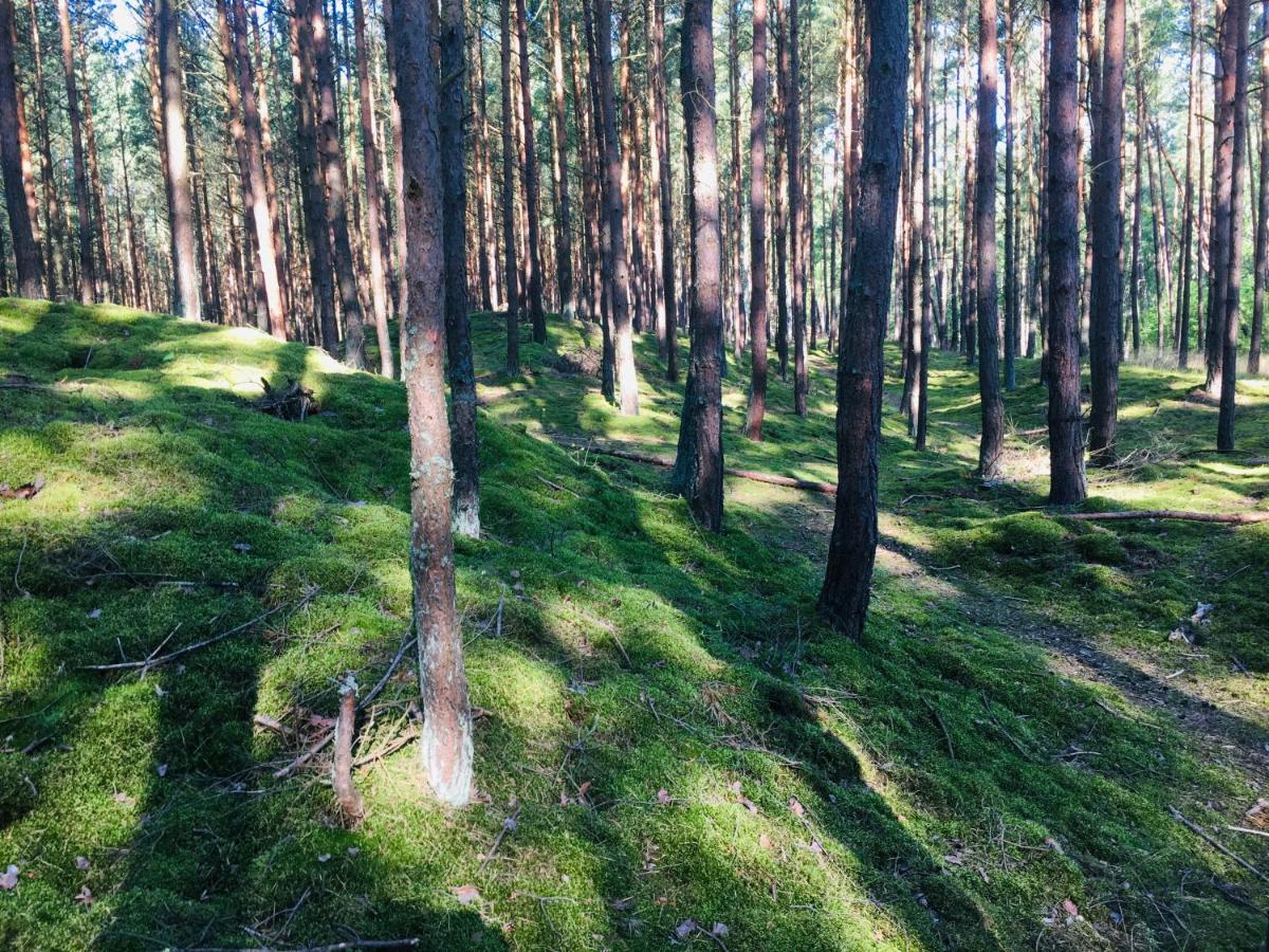 Camp Bursztynowy Las Gdańsk Exterior foto