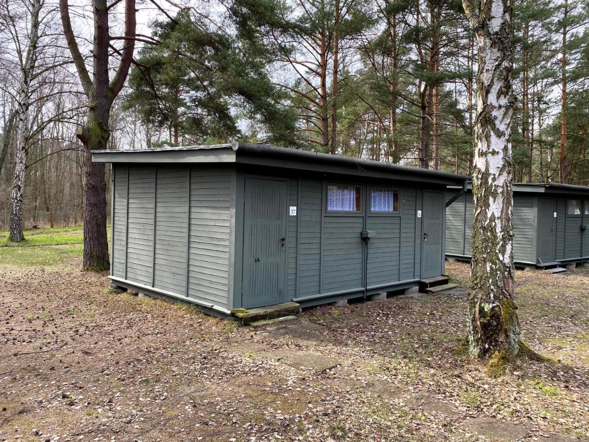 Camp Bursztynowy Las Gdańsk Exterior foto